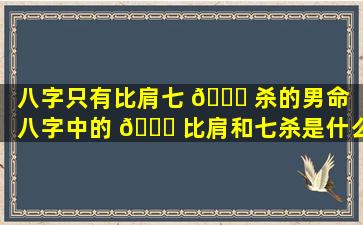 八字只有比肩七 🍁 杀的男命（八字中的 💐 比肩和七杀是什么意思）